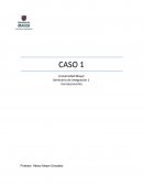 Caso 1 seminario de integracion microeconomía