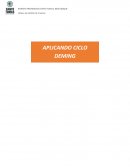 Aplicación ciclo Deming