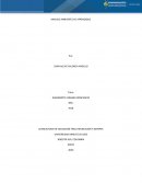 ANALISIS AMBIENTES DE APRENDIZAJE