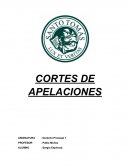 Cortes de apelaciones de Chile