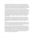 Maltrato animal en Bogotá