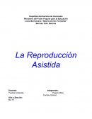 La reproduccion asistida