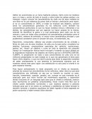 CONCLUSION INSPECCION