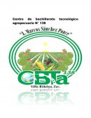 EMPRESA: MODIFICACIONES AUTOMOTRICES J.M.L.G