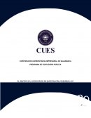 EL SENTIDO DE LOS PROCESOS DE INVESTIGACIÓN, DESARROLLO E INNOVACIÓN DENTRO DE MI ROL PROFESIONAL