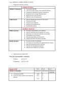 Caso empresa Andrea producciones