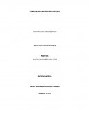 CONSTITUCION Y DEMOCRACIA PREGUNTAS DINAMIZADORAS