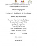 Biomoleculas. Identificación de Biomoléculas