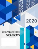 ORGANIZADORES GRAFICOS