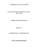 Procesos Sinápticos y Neurotransmisores