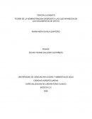 TEORÍA DE LA ADMINISTRACIÓN DIFERENTE A LAS QUE APARECEN EN LOS DOCUMENTOS DE APOYO