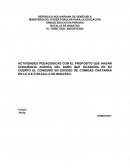 Proyento comida. La alimentación adecuada