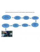 ORGANIGRAMA DE SERVICIOS LOS CUALES PRESTA EL CENTRO DE COMERCIO Y CONSTRUCCION REGIONAL TOLIMA