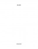 Proyecto Comercial Polyboton