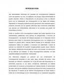 ENFERMEDADES INFECCIOSAS