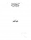 PRACTICA Nº 4 “Reacciones Químicas”