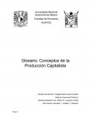 Conceptos Economia Política