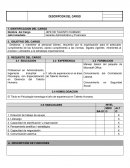 DPT JEFE DE TALENTO HUMANO