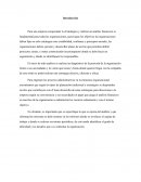 La Estratégica y análisis financiero para una empresa