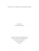 ESTUDIO DE CASO “LA IMPORTANCIA DE APRENDER UN IDIOMA