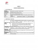 Consultas de datos. Nivel Intermedio y avanzado. Sub consultas y clausula Group by, Having