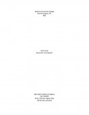 Sensación y Percepción en el ser humano