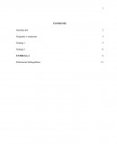 ENTREGA FINAL DERECHO COMERCIAL Y LABORAL