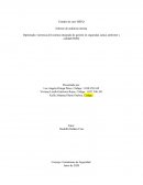 Estudio de caso HSEQ Informe de auditoría interna