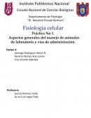 Uso y manejo de animales de laboratorio