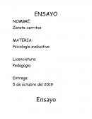 Esquemas Y la primera etapa sensoria motora de Piaget