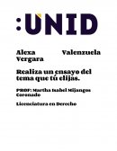ENSAYO “El aborto”