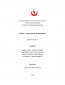 CIENCIA Y TECNOLOGÍA DE LOS MATERIALES LABORATORIO N° 2