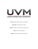 Actividad Diagrama de flujo