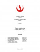 Caso “Tream Peru S.A.C”