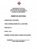 GENERALIDADES DE LA ANATOMÍA