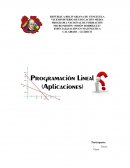 Programación Lineal (aplicaciones)