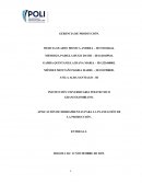 APLICACIÓN DE HERRAMIENTAS PARA LA PLANEACIÓN DE LA PRODUCCIÓN