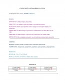 CONJUGACIÓN LATINOAMERICANA TOTAL