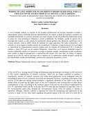 PERSPECTIVA DEL MODELO DE PLANEAMIENTO MINERO TRADICIONAL PARA LA EXPLOTACIÓN DE LOS RECURSOS EN EL SISTEMA A CIELO ABIERTO