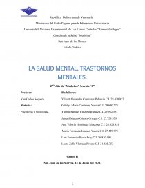 LA SALUD MENTAL. TRASTORNOS MENTALES. Página 1