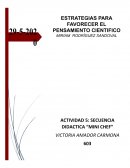 Estartegias de enseñanza. Secuencia Didáctica “cocinando”