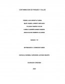 Contaminacion de parques y calles