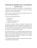 Psicología del desarrollo en la adolescencia