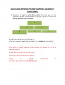 GUÍA CUASI-IDÉNTICA PRUEBA NÚMERO 2 (ALGEBRA Y ECUACIONES)