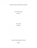 Personal de la salud en Colombia durante la pandemia