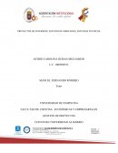 PROYECTOS DE INVERSIÓN, ESTUDIO DE MERCADOS, ESTUDIOS TÉCNICOS