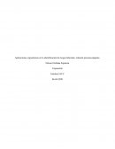 Aplicaciones ergonómicas en la identificación de riesgos laborales, relación persona-máquina