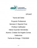 Teoría del Delito Proyecto Profesional
