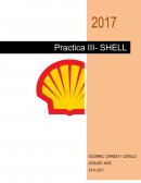 Caso práctico RECURSOS HUMANOS empresa SHELL