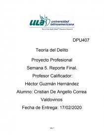 Teoría del Delito Proyecto Profesional. Página 1
